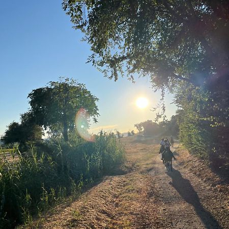 Agriturismo Hornos Numana Εξωτερικό φωτογραφία